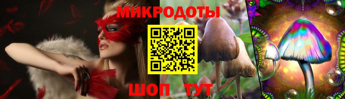 Топки  Псилоцибиновые грибы Cubensis  Вход с VPN 